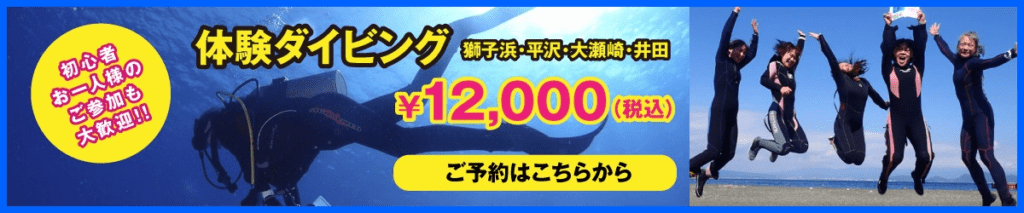 体験ダイビング WEB予約